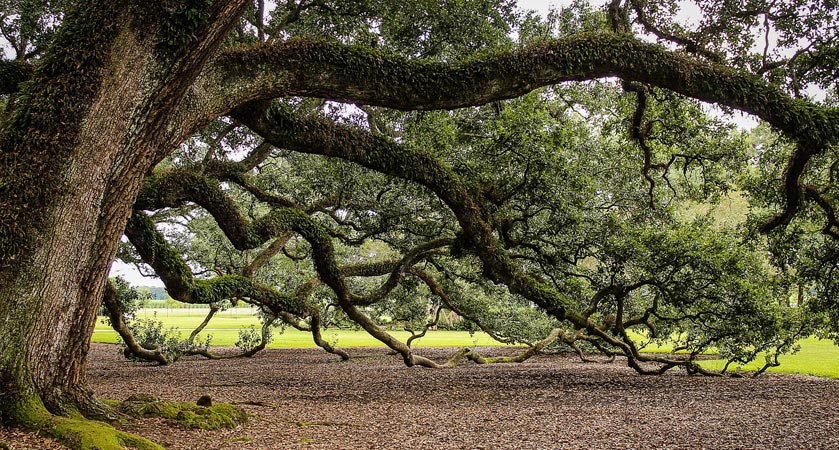 网站攻击软件工具